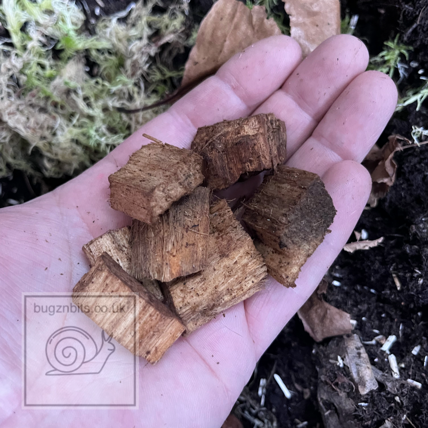 Hardwood Pieces, Great for Millipedes, Isopods and Snails