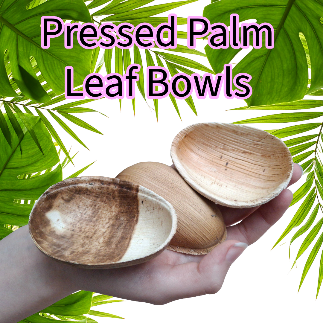 Pressed Palm Leaf Pet Bowls (Pack of 3)