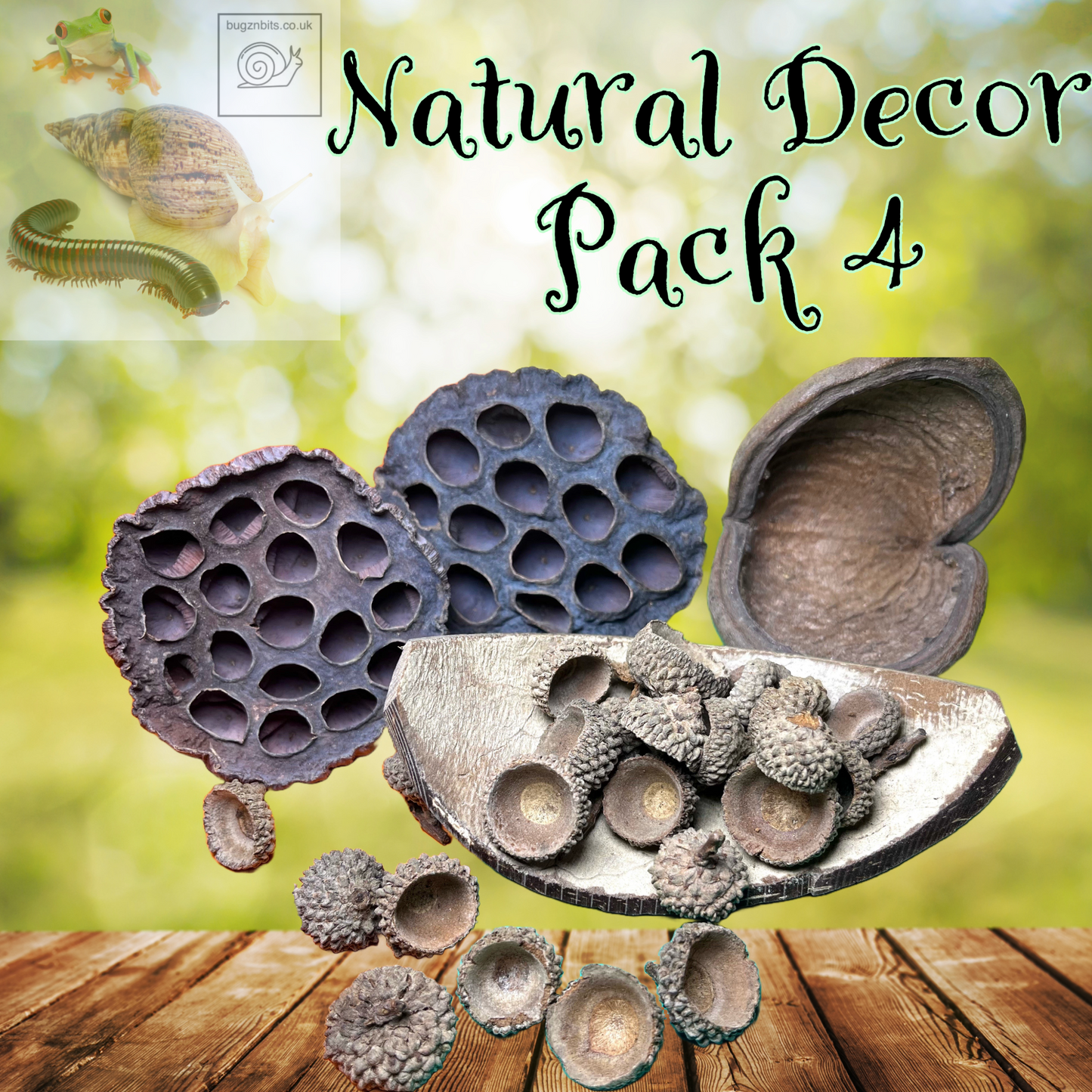 Natural Decor Pack, 4 options to choose from