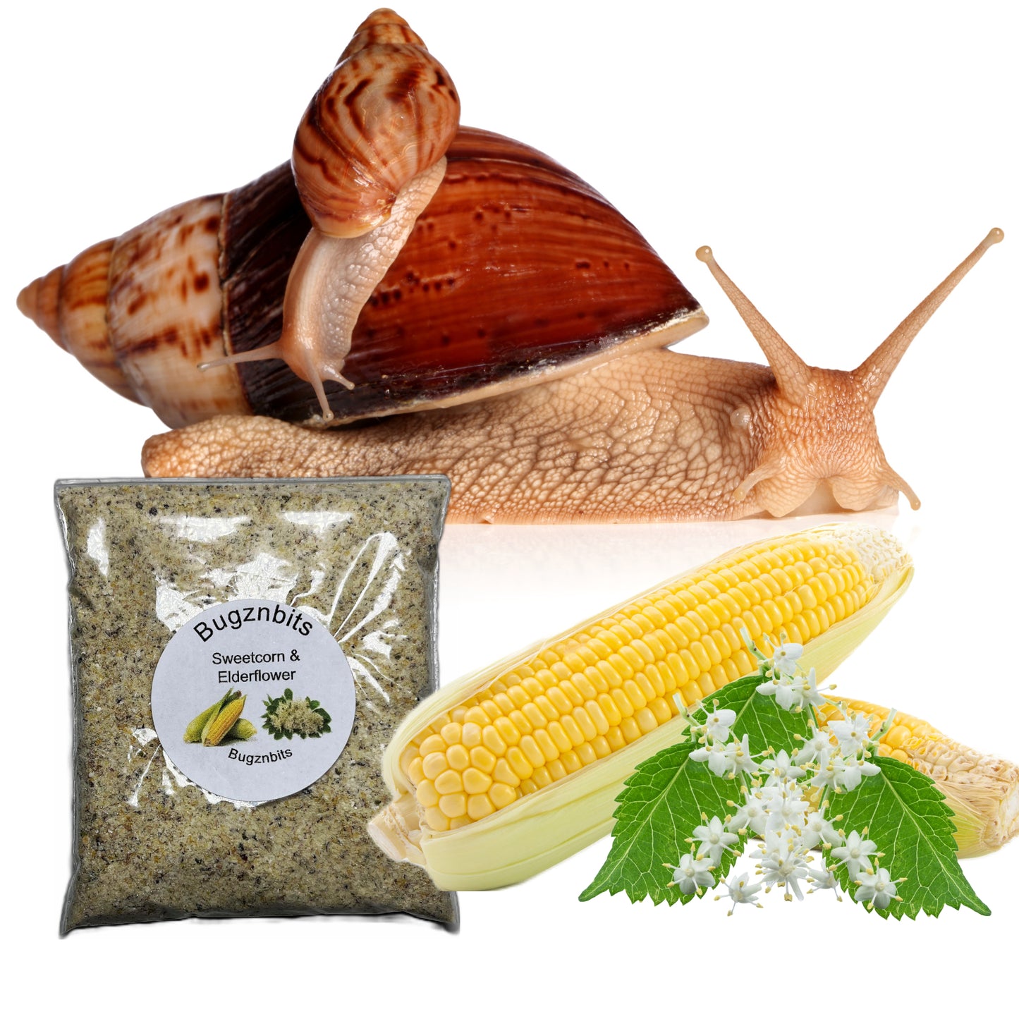 Natures Food Organic Snail Food Twin Sample Packs 30g β Choose 2 Flavours