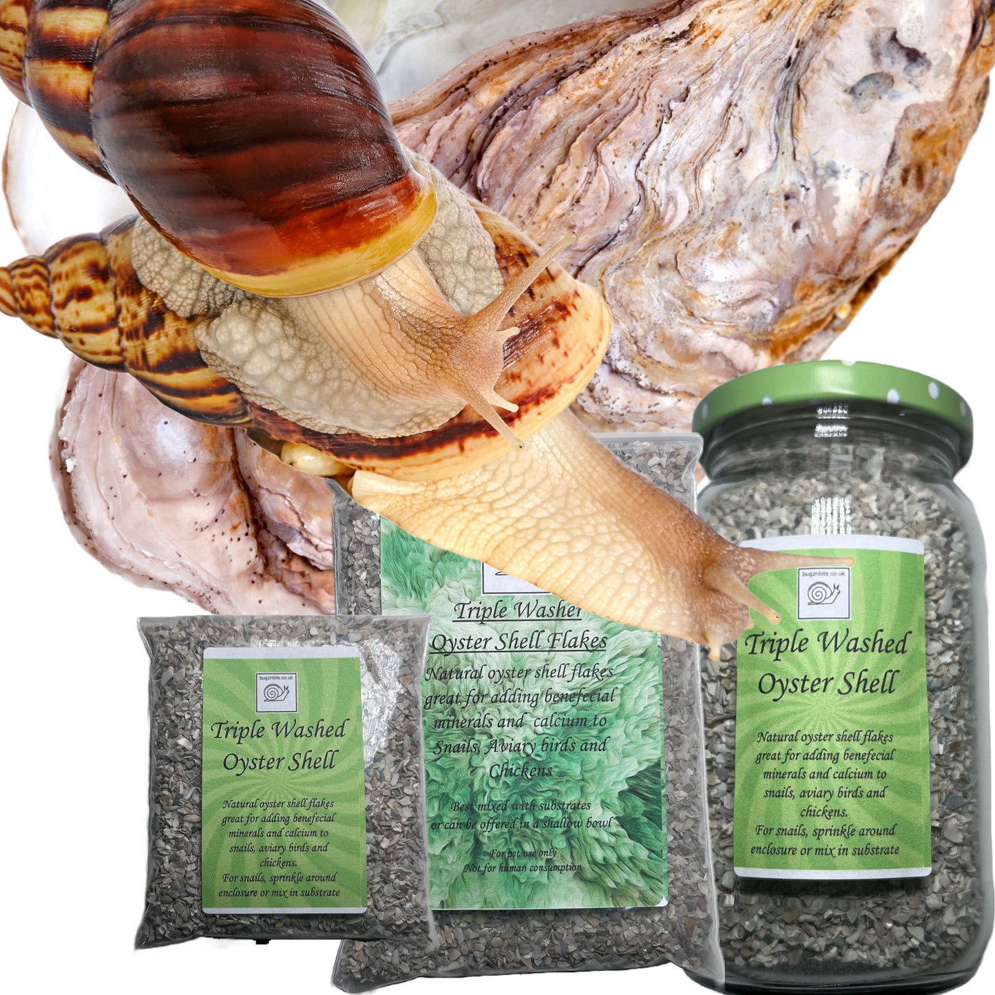 Triple washed Oyster shell flakes