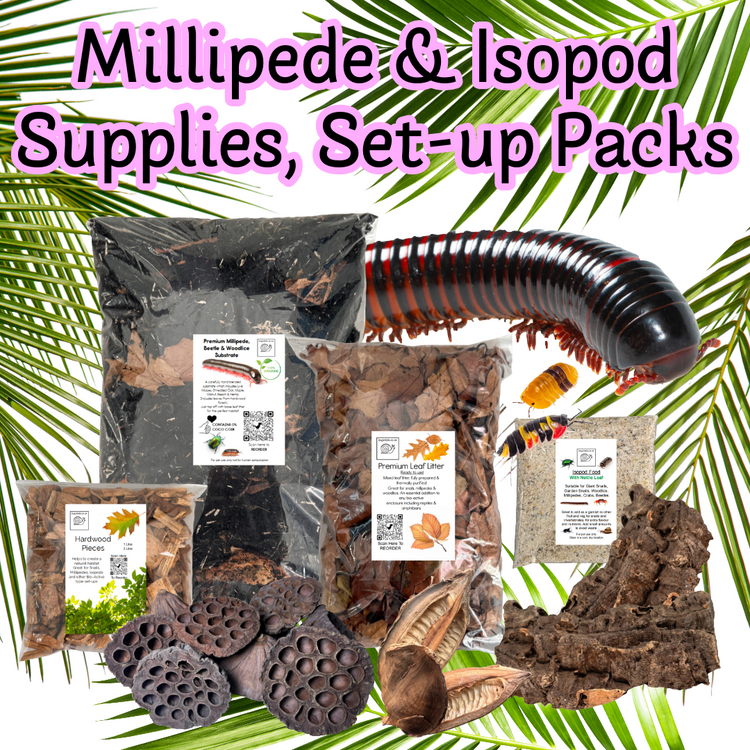 D:- Millipede and isopod supplies