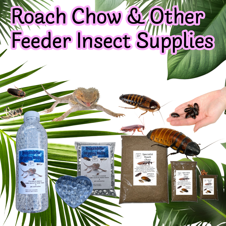 F:- Roach chow and other feeder insect supplies