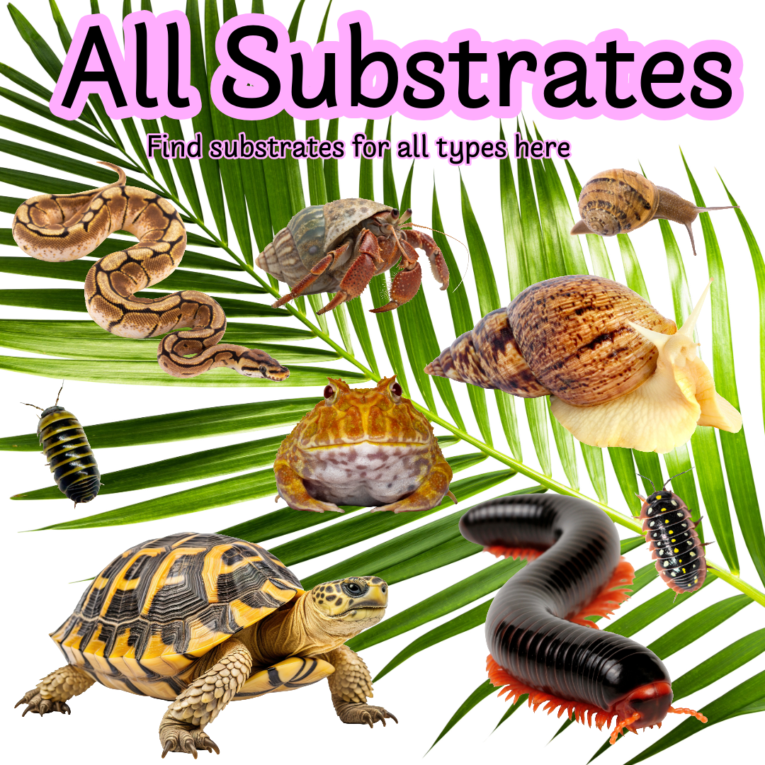A:- All Substrates