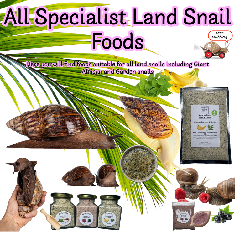 B:- Snail Foods