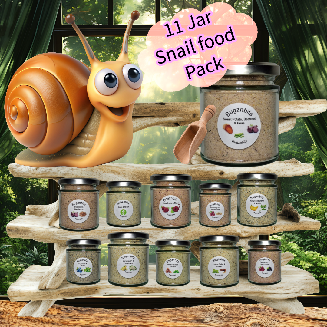 11 Jar Multi Pack, All Variations