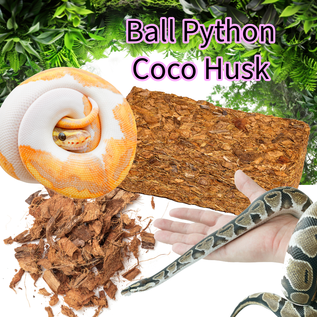 Ball Python Substrate, Organic Coco Husk Blocks
