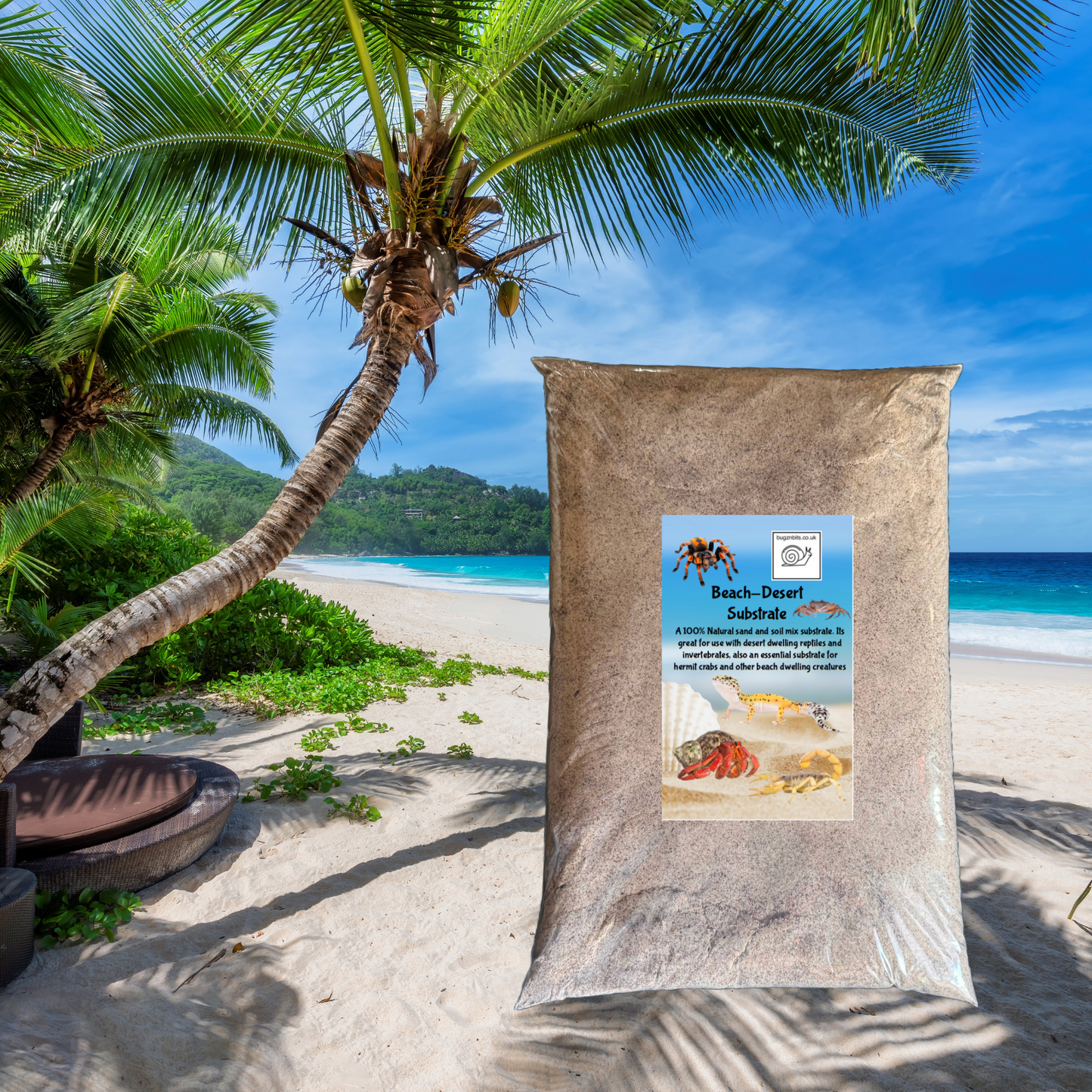 Beach/Desert Floor Substrate