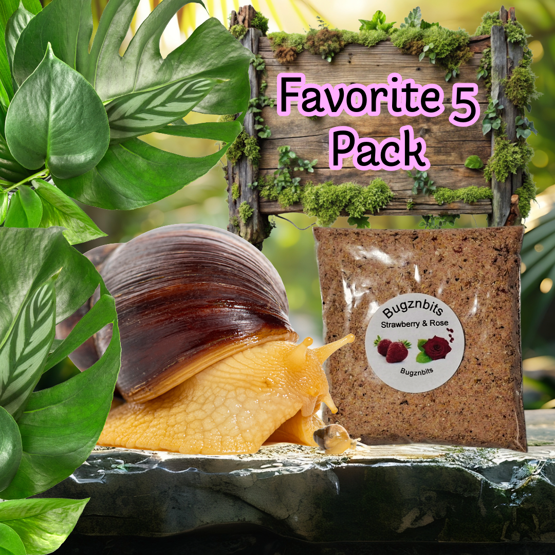 Fav Five Land Snail food Pack 5 x 30g