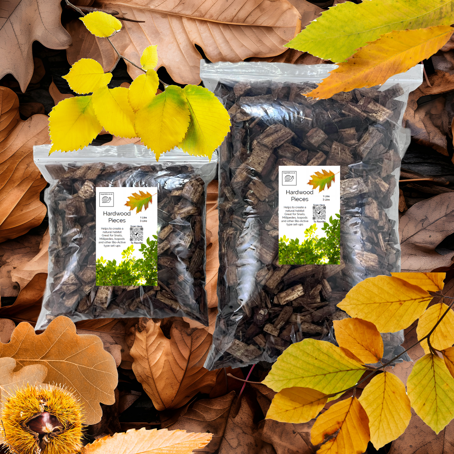 Hardwood Pieces, Great for Millipedes, Isopods and Snails