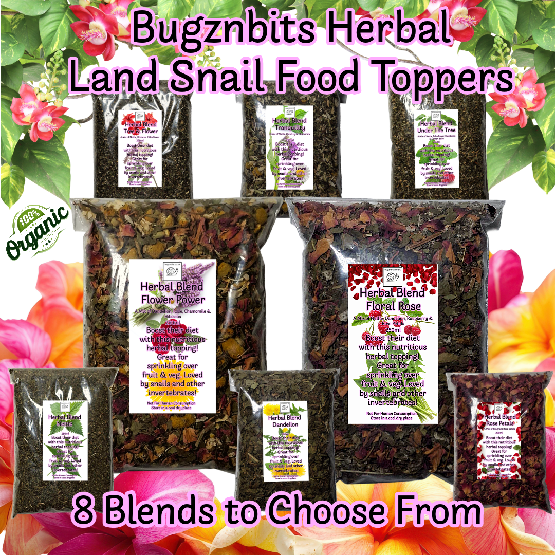 Natural Herbal Blends, Multi Options