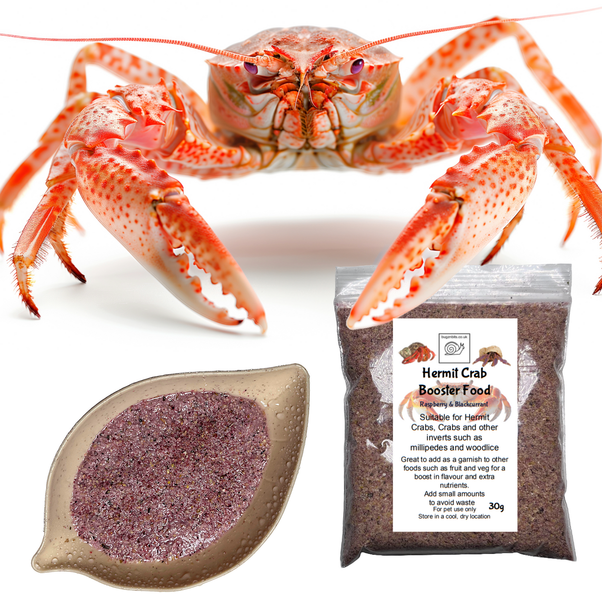 Hermit Crab food
