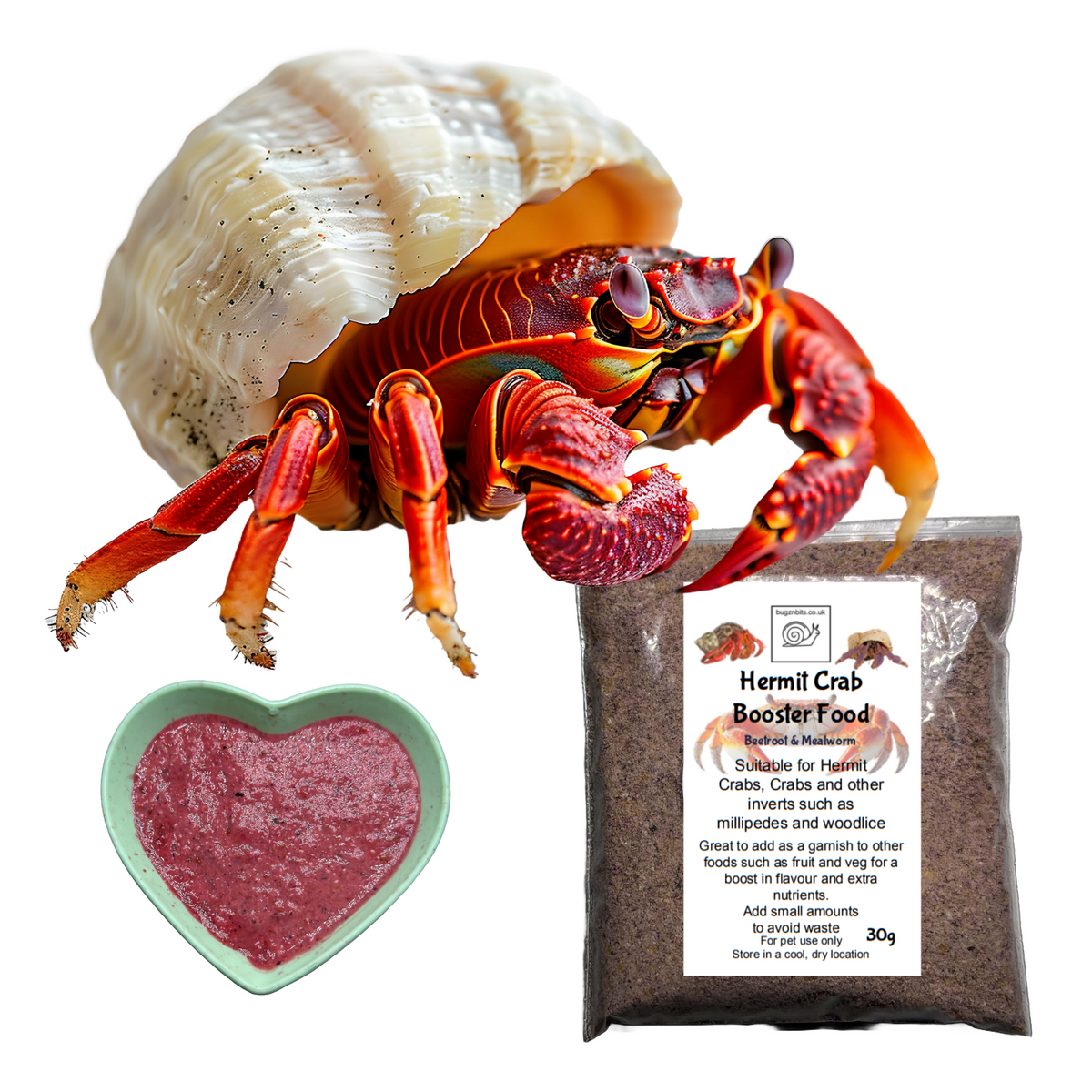 Hermit Crab food