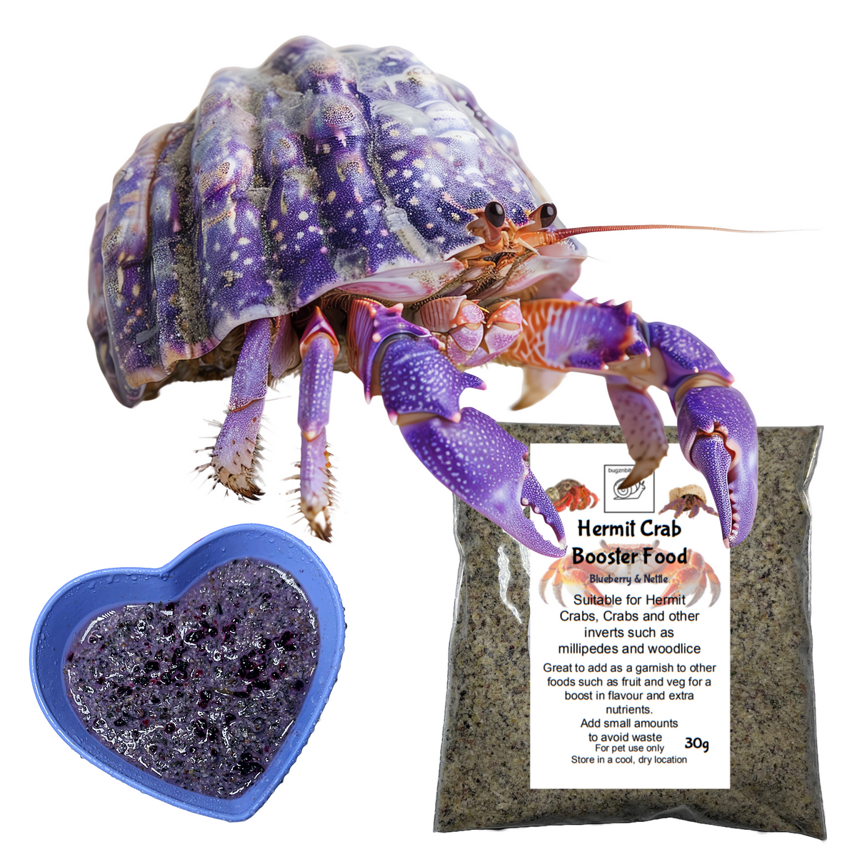 Hermit Crab food