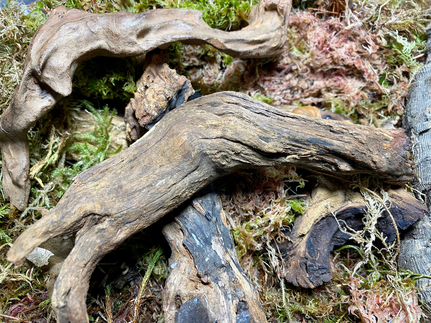 Natural Wooden Decor Pieces, 3 Pack