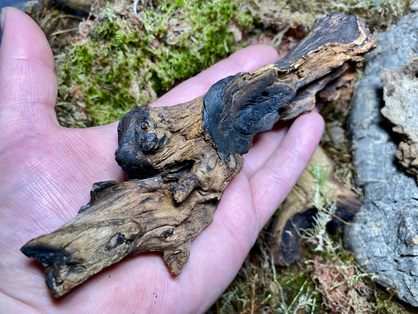 Natural Wooden Decor Pieces, 3 Pack