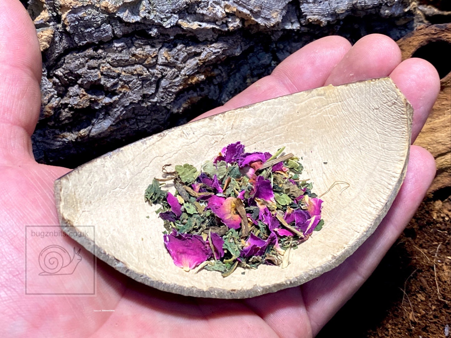 Coconut quarter 100% Natural