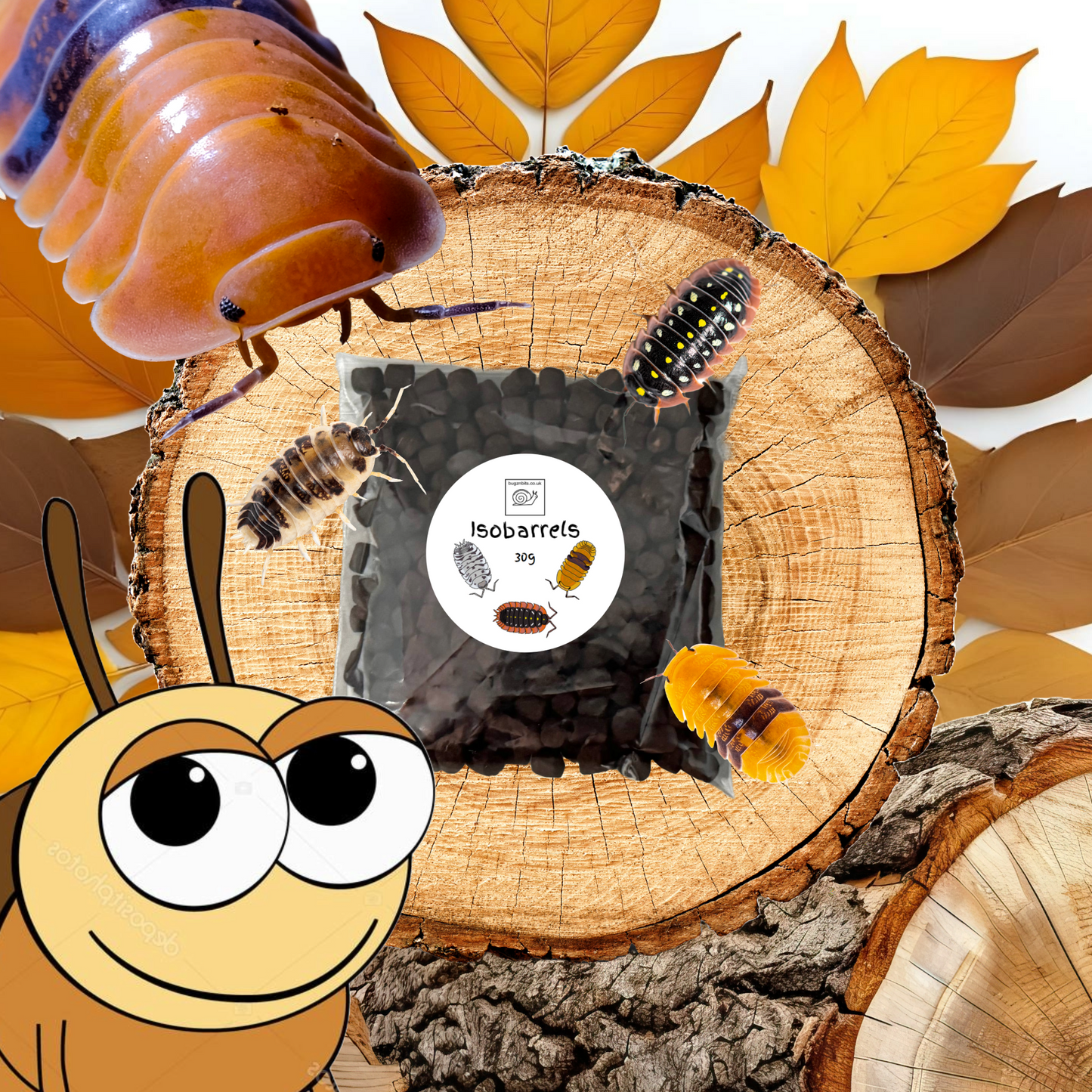 Isobarrel Protein Millipede and Woodlice Treat