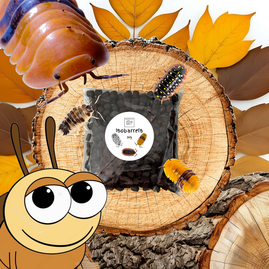 Isobarrel Protein Millipede and Woodlice Treat
