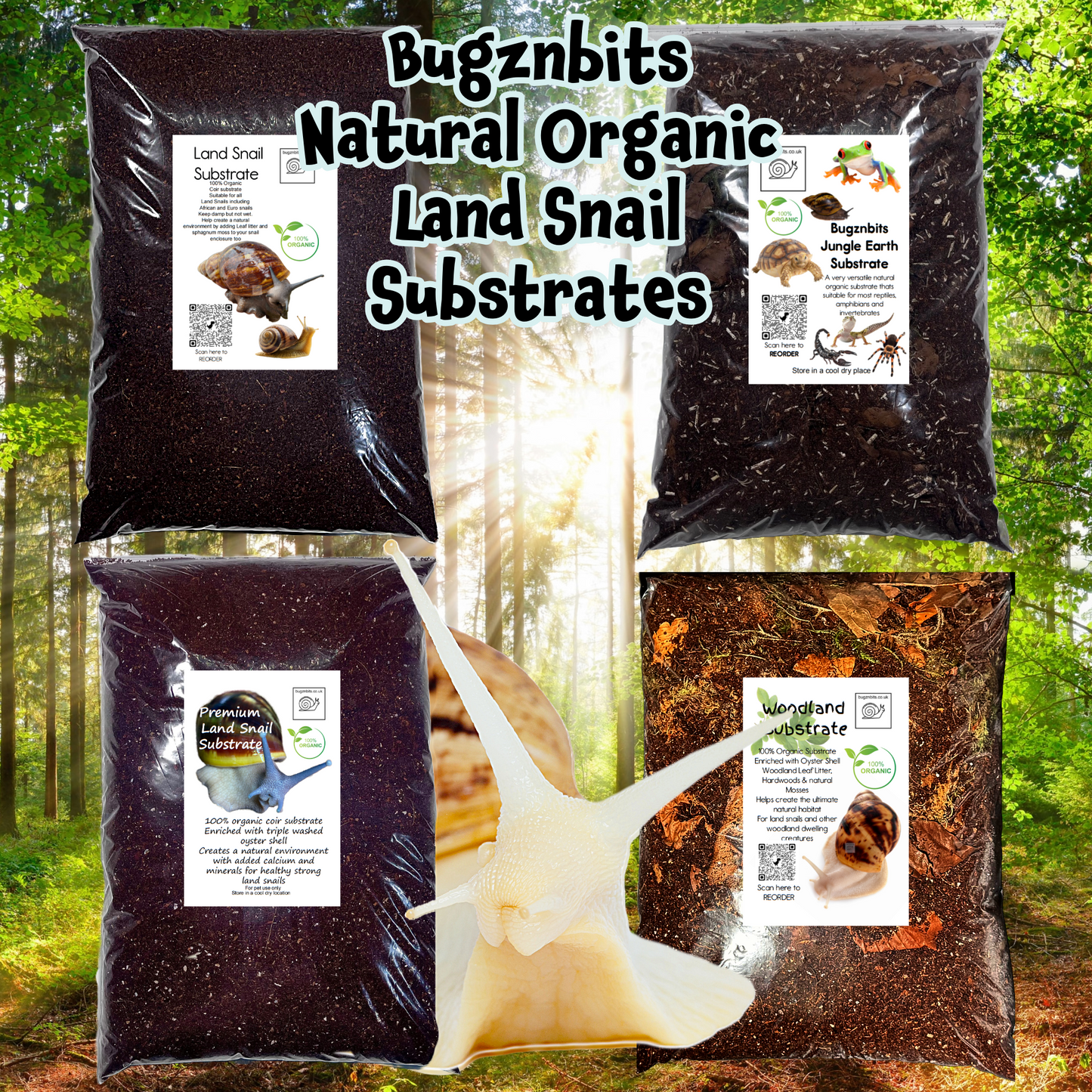Bugznbits Land Snail Substrates