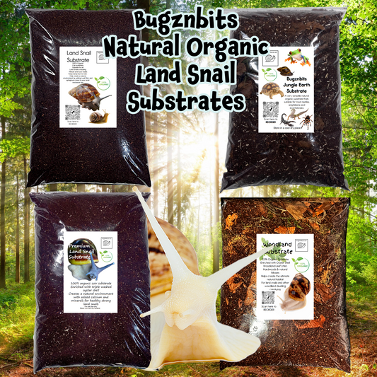 Bugznbits Land Snail Substrates