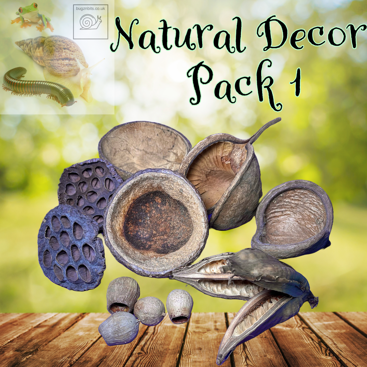 Natural Decor Pack, 4 options to choose from