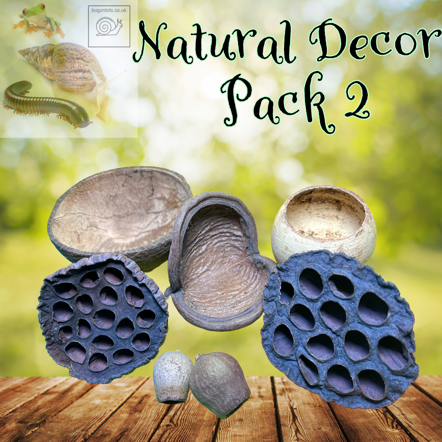 Natural Decor Pack, 4 options to choose from