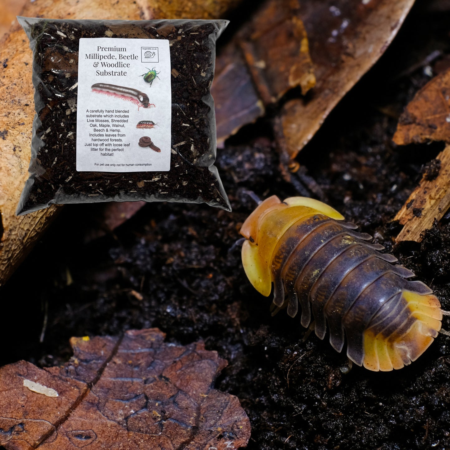Premium Millipede, Beetle and Woodlice Substrate (Millipede soil)