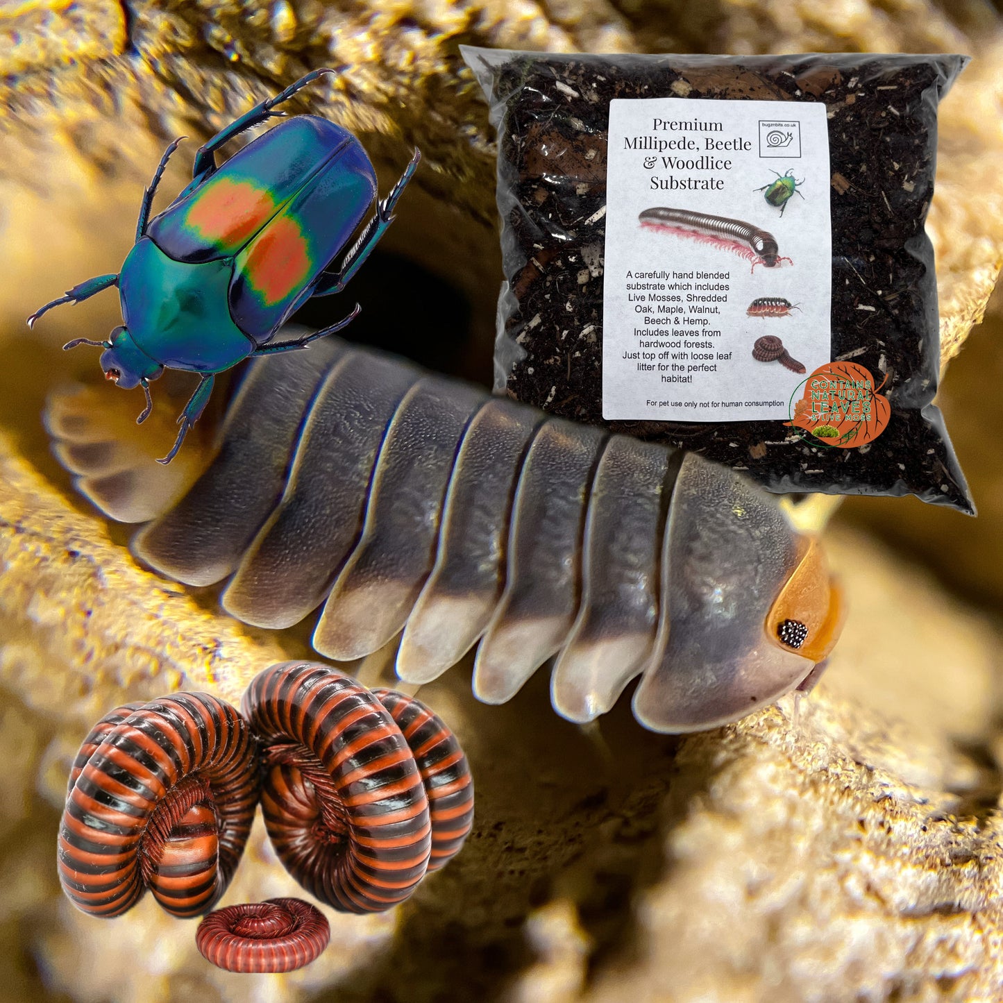 Premium Millipede, Beetle and Woodlice Substrate (Millipede soil)