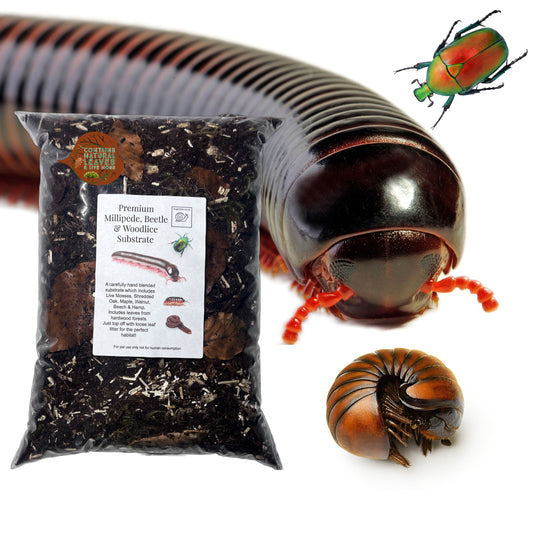 Premium Millipede, Beetle and Woodlice Substrate (Millipede soil)