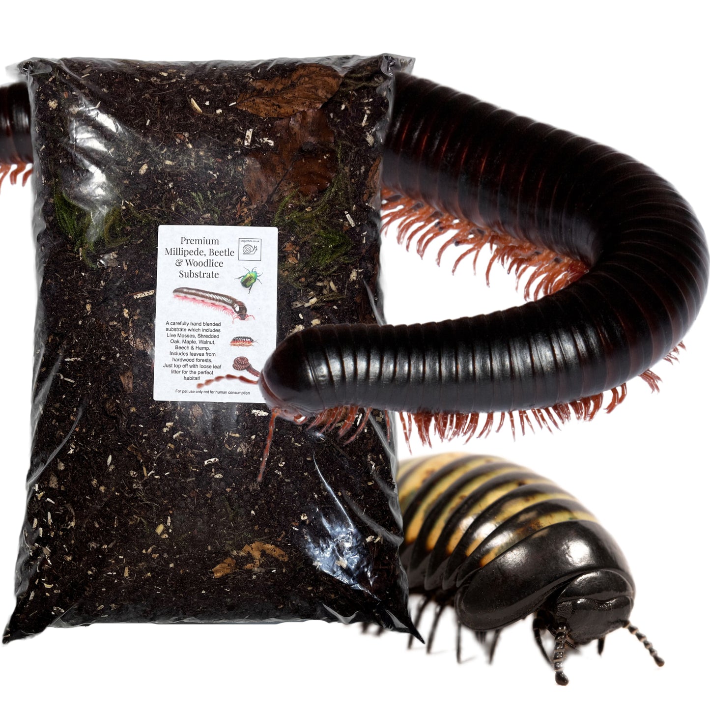 Premium Millipede, Beetle and Woodlice Substrate (Millipede soil)