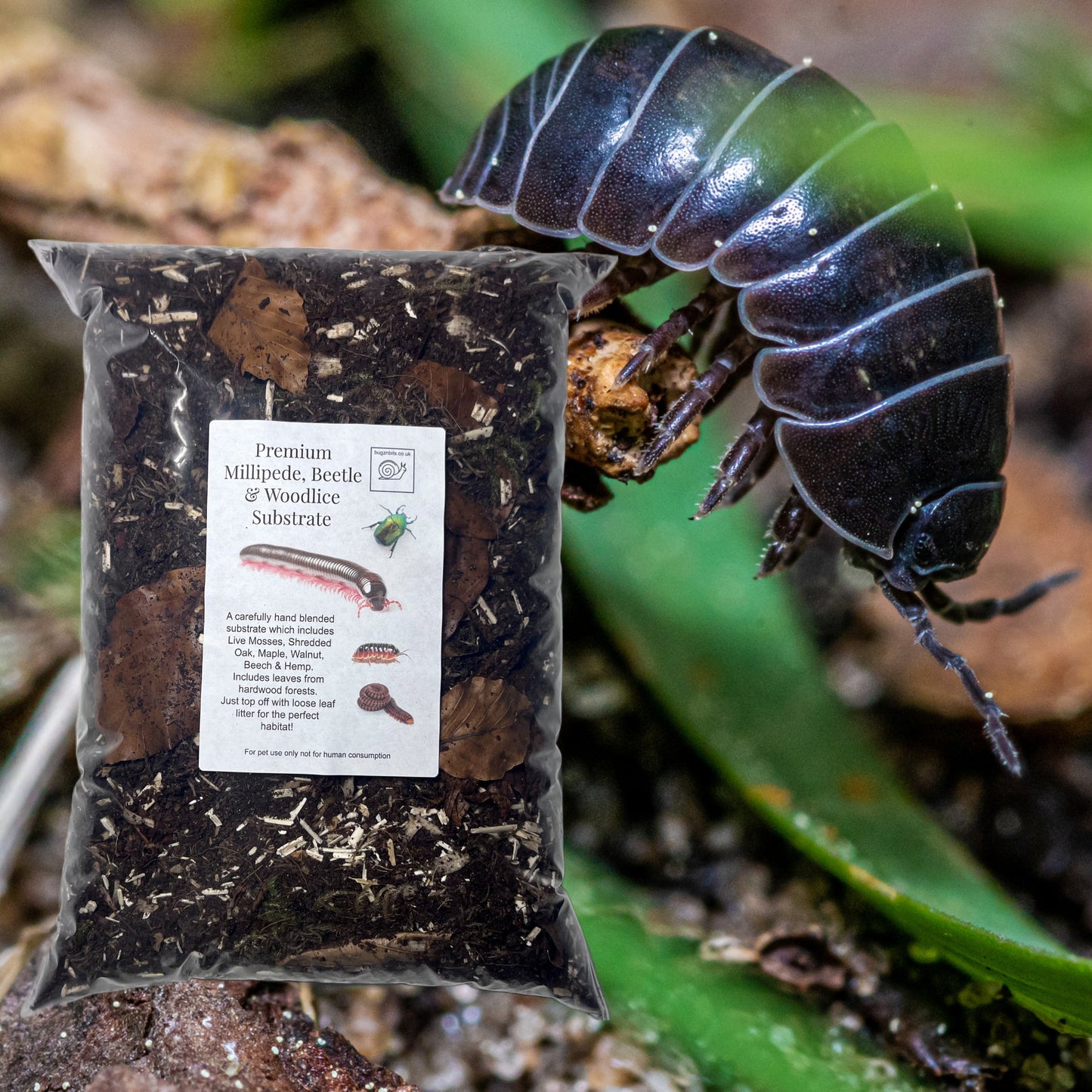 Premium Millipede, Beetle and Woodlice Substrate (Millipede soil)
