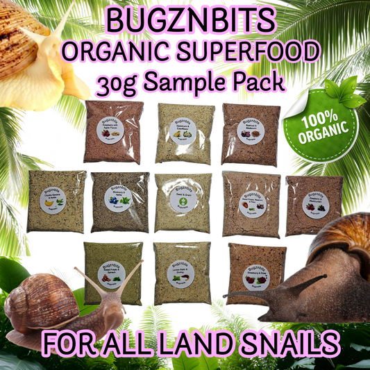 Land Snail Food 30g Sample Pack