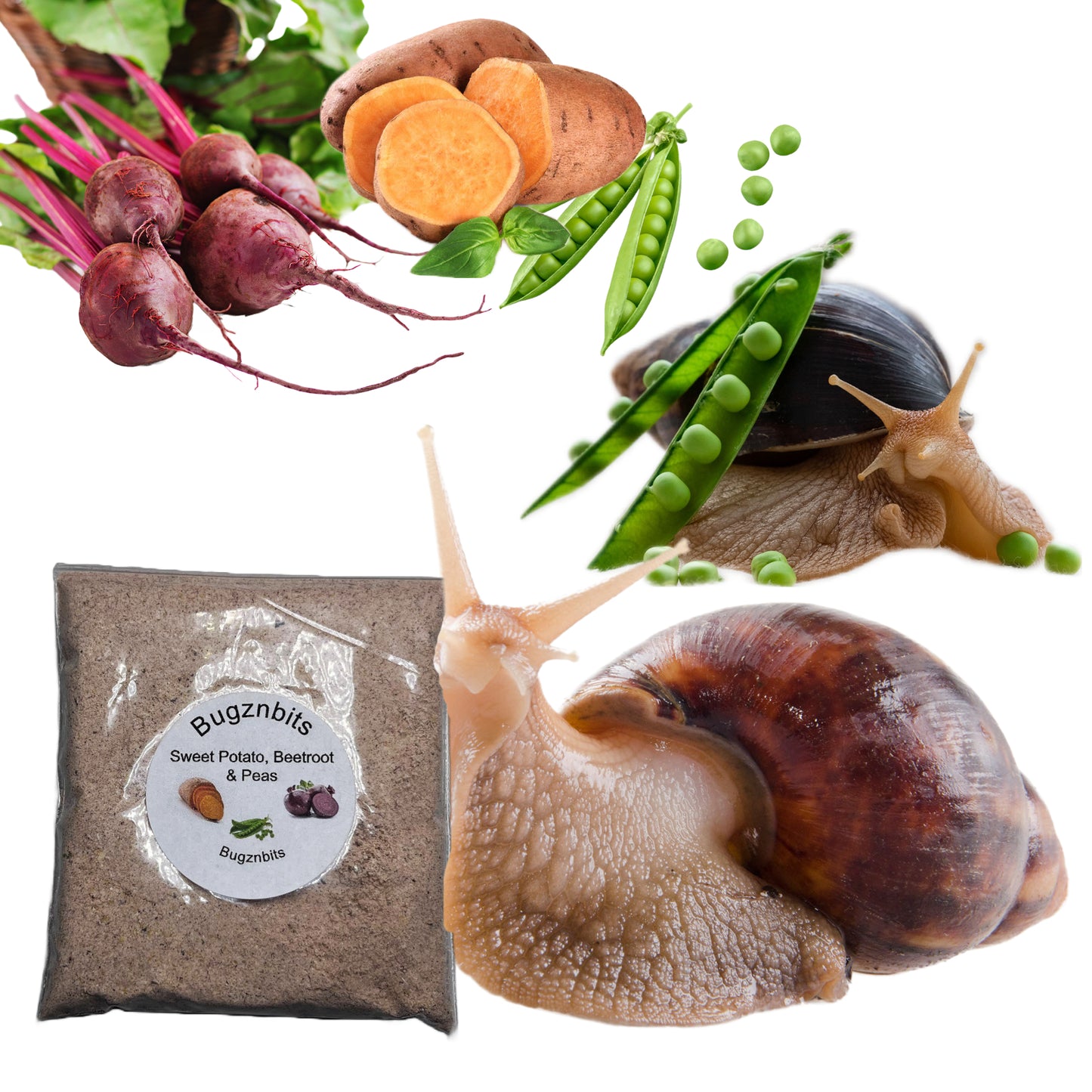 Triple Bowl Pack with Free Food Sample