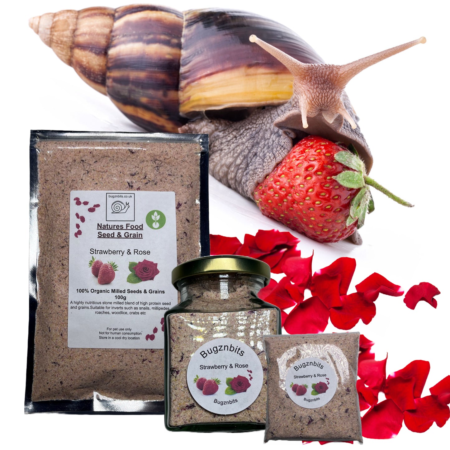 Premium Giant African Land Snail Food