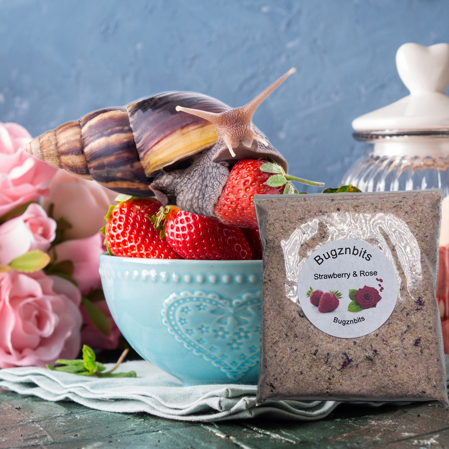 Triple Bowl Pack with Free Food Sample