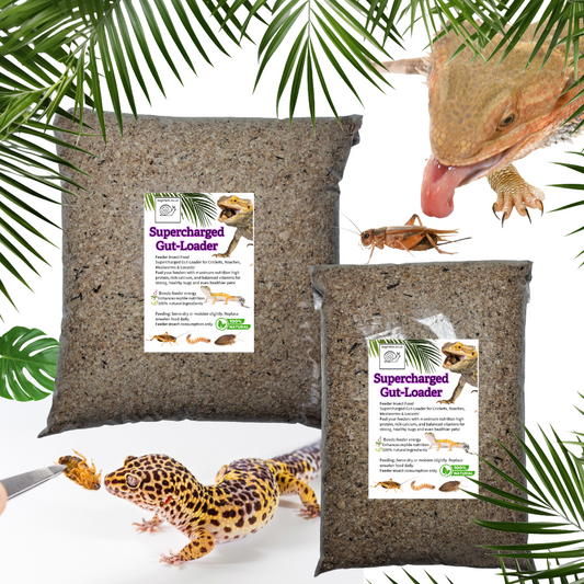 Supercharged Bug-Booster Gut-Loading Feed