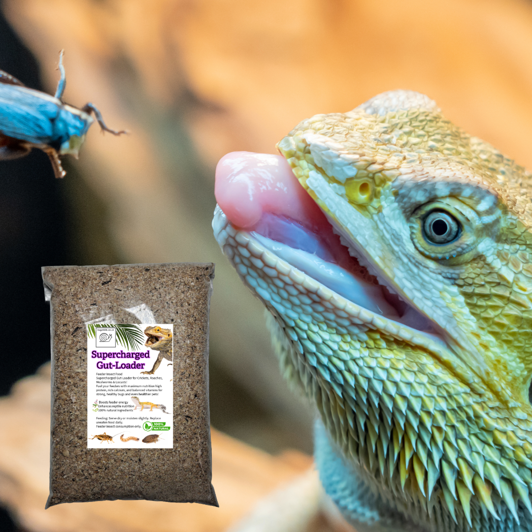 Supercharged Bug-Booster Gut-Loading Feed