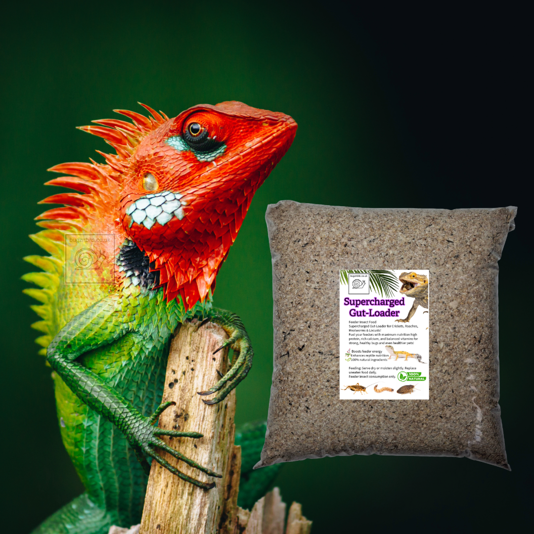 Supercharged Bug-Booster Gut-Loading Feed