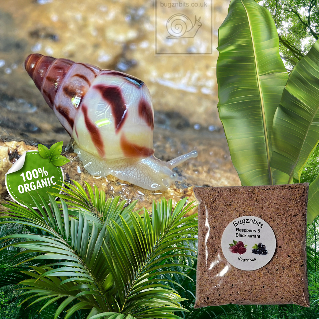 Land Snail Food 30g Sample Pack