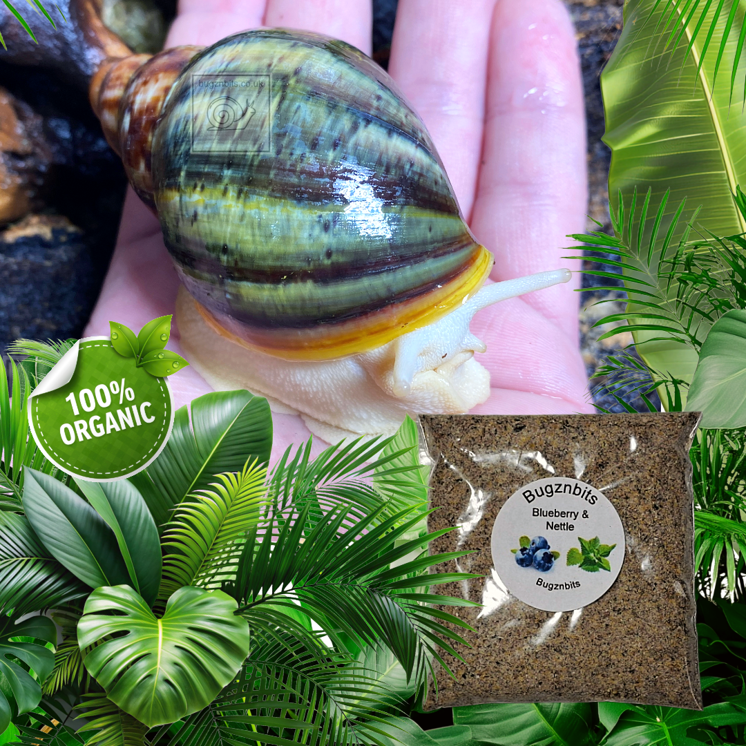 Land Snail Food 30g Sample Pack