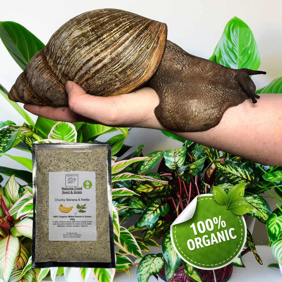 Natures Food Organic Snail Food TWIN 100g REFILL Pack  – Choose 100g packs
