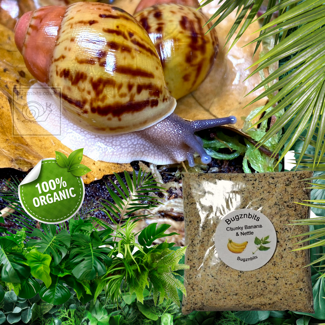 Land Snail Food 30g Sample Pack