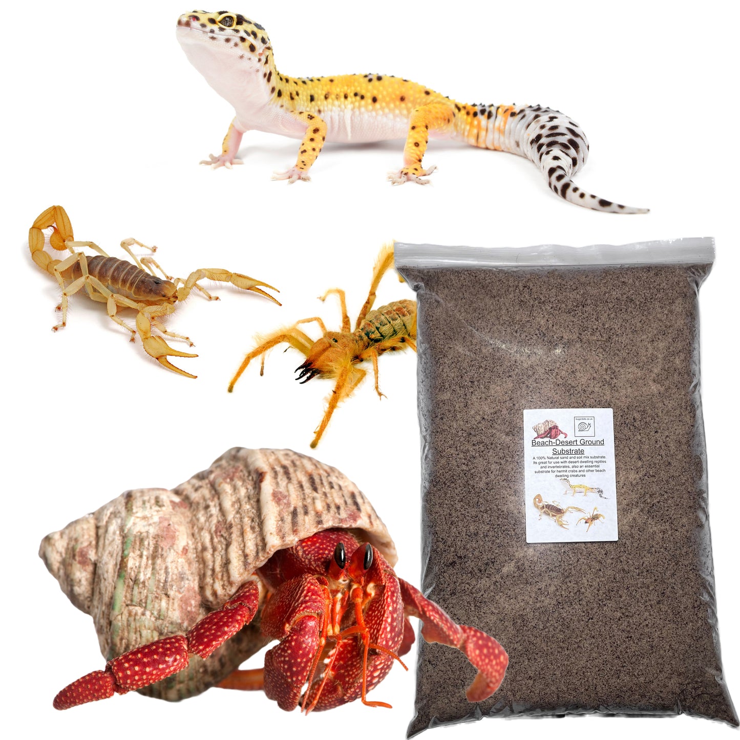 Beach/Desert Floor Substrate