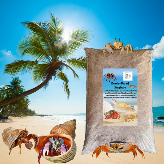 Beach/Desert Floor Substrate