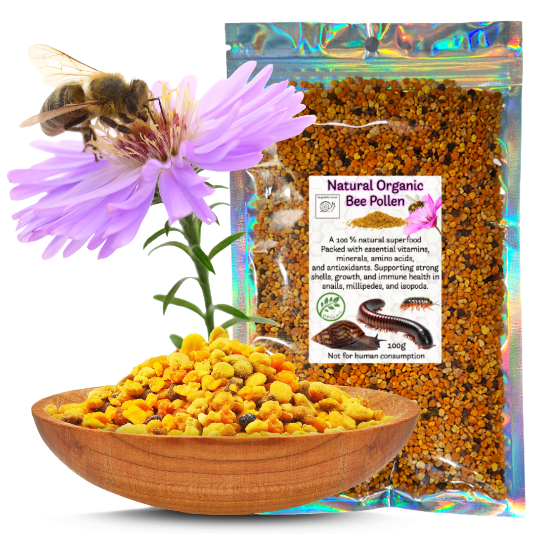 Bee Pollen Vitamin Health Booster