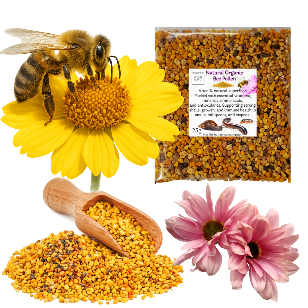 Bee Pollen Vitamin Health Booster