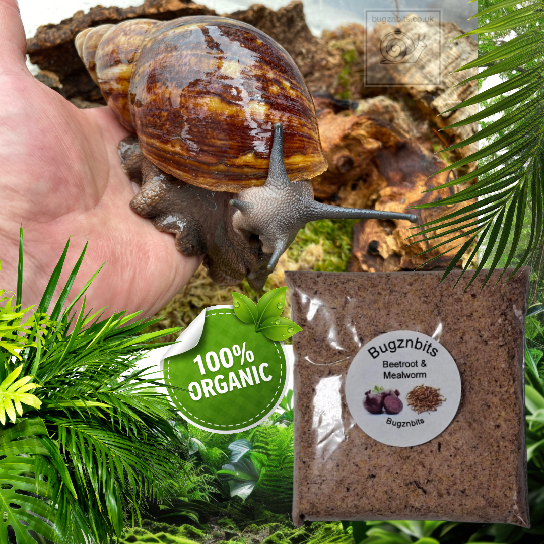 Land Snail Food 30g Sample Pack