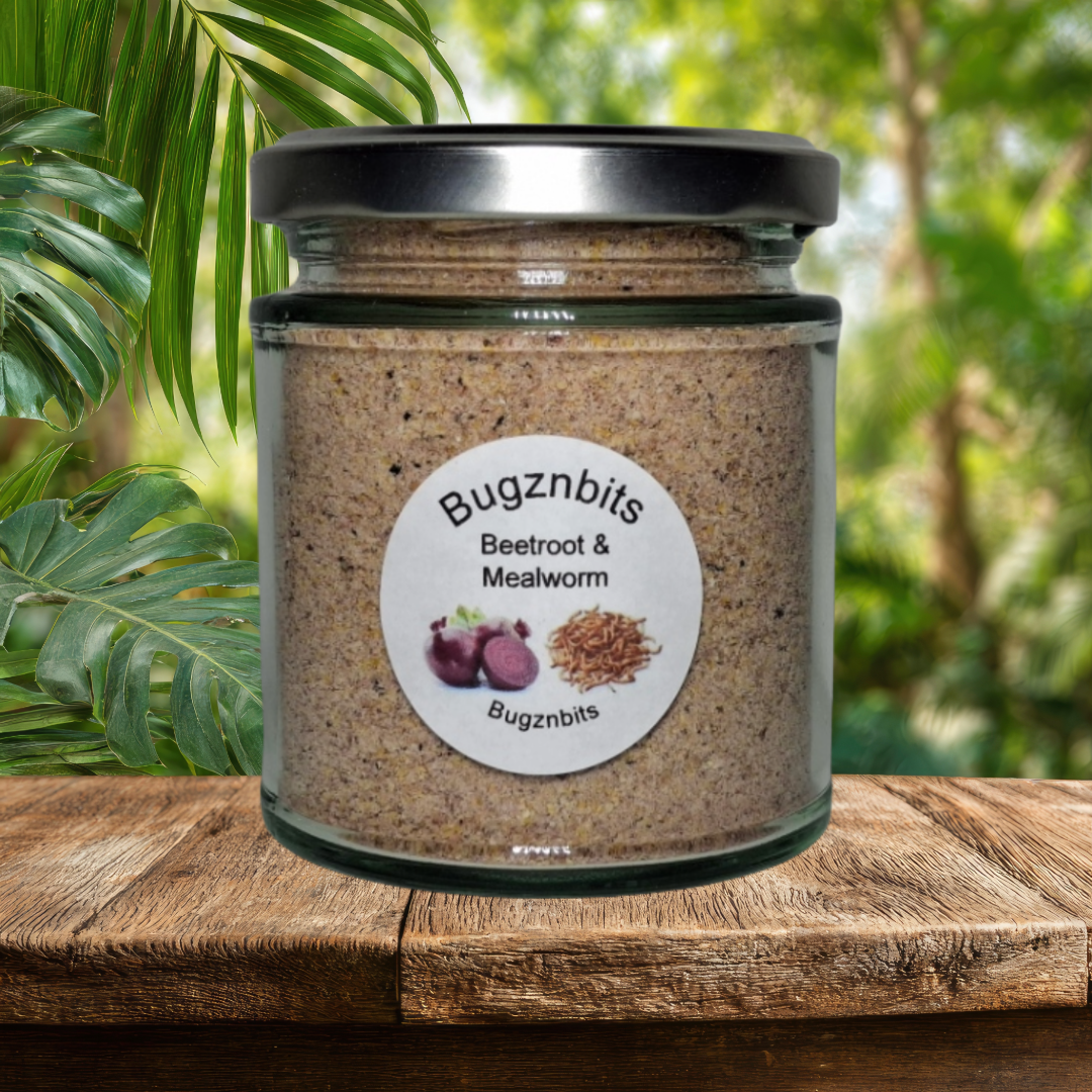 11 Jar Multi Pack, All Variations