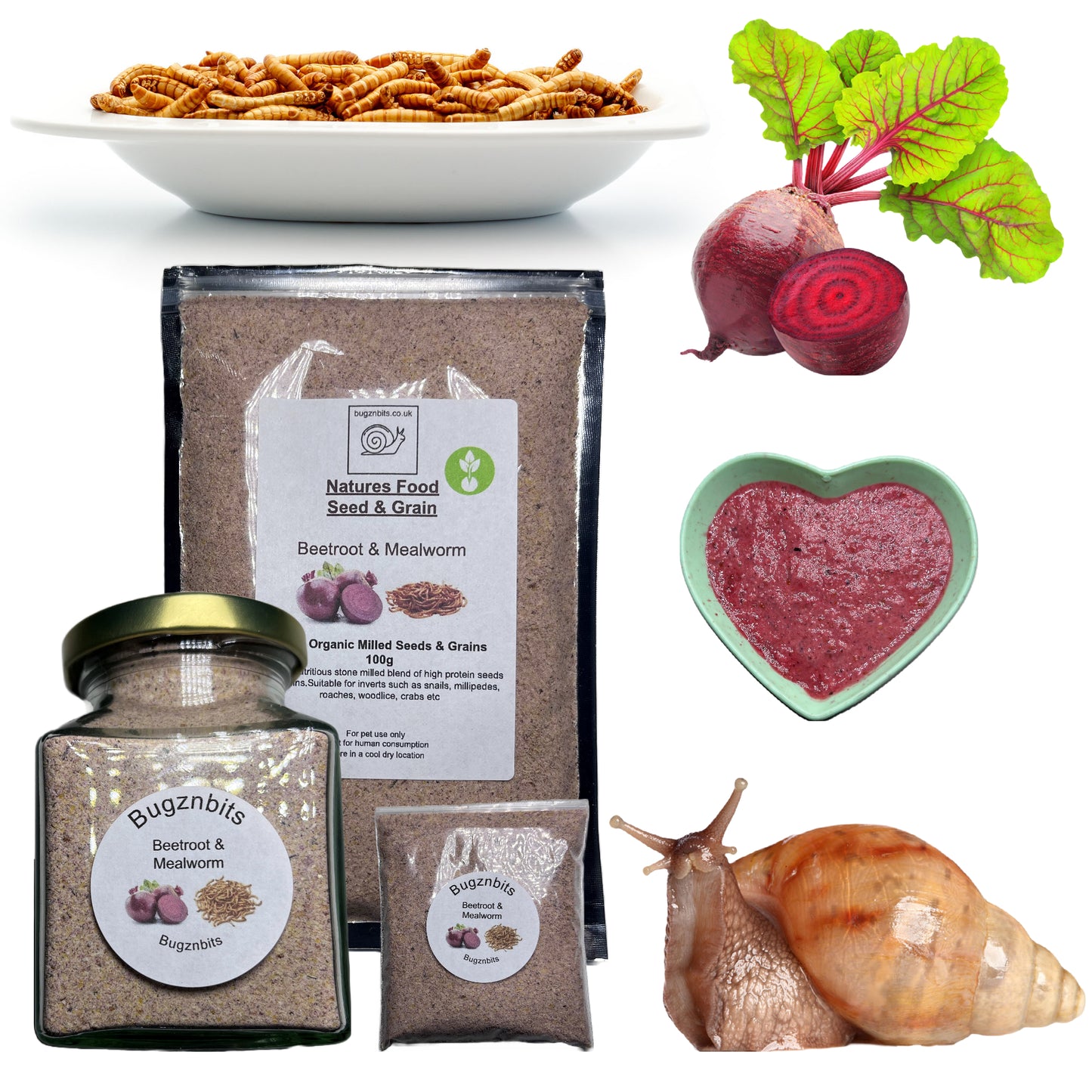 Premium Giant African Land Snail Food